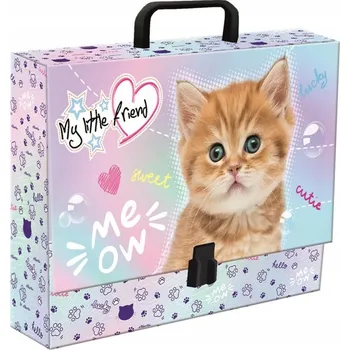 Desky s uchem A4 St. Majewski