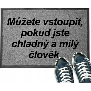 ŠEDÁ VSTUPNÍ ROHOŽKA | 40X60 MŮŽEŠ VEJÍT, POKUD JSI FAJN VZOR