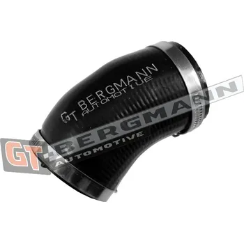 Turbodmychadlo Hadice plnícího vzduchu GT BERGMANN GT52-828