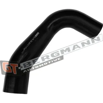 Turbodmychadlo Hadice plnícího vzduchu GT BERGMANN GT52-809