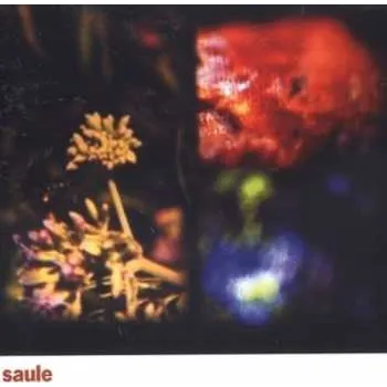 Zahraniční hudba LP Saule: Saule 2004