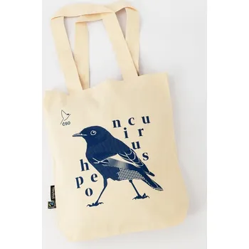 Plátěná taška Phoenicurus přírodní