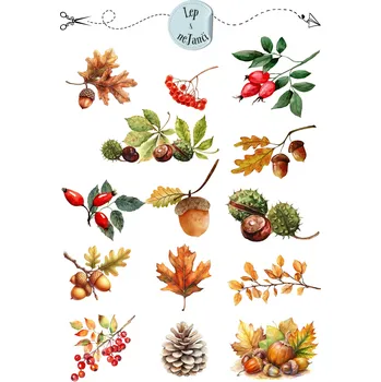samolepka SAMOLEPKY PODZIMNÍ PLODY
