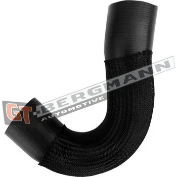 Turbodmychadlo Hadice plnícího vzduchu GT BERGMANN GT52-698