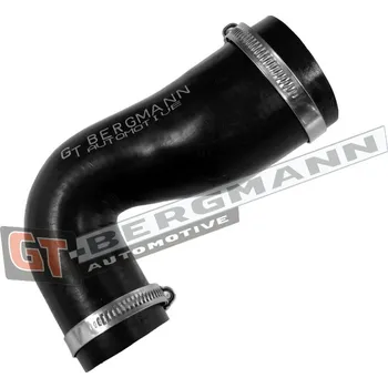 Turbodmychadlo Hadice plnícího vzduchu GT BERGMANN GT52-792