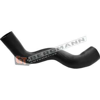 Turbodmychadlo Hadice plnícího vzduchu GT BERGMANN GT52-680