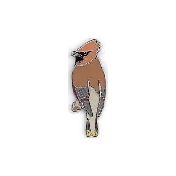 Odznáček - brkoslav severní