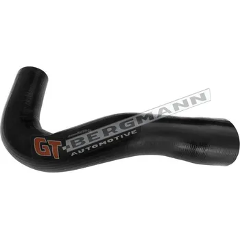 Turbodmychadlo Hadice plnícího vzduchu GT BERGMANN GT52-697