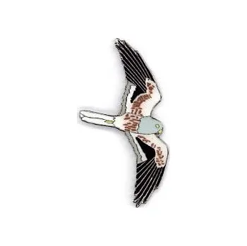 Odznáček - moták lužní