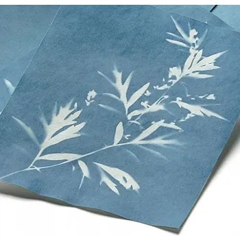 IP kamera Sluneční papír (cyanotypie) - vzdělávací sada