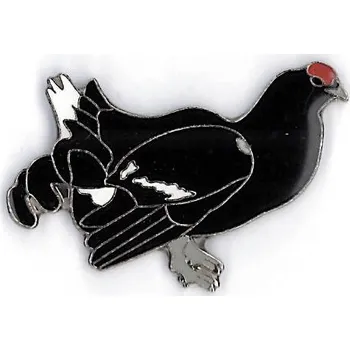 Odznáček - tetřívek obecný