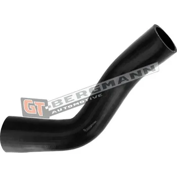 Turbodmychadlo Hadice plnícího vzduchu GT BERGMANN GT52-679