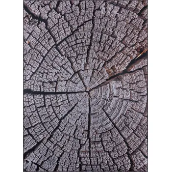 Koberec KOBEREC DO OBÝVACÍHO POKOJE 160x220 CM HNĚDÝ VZOR KMEN STROMU IMITACE DŘEVA