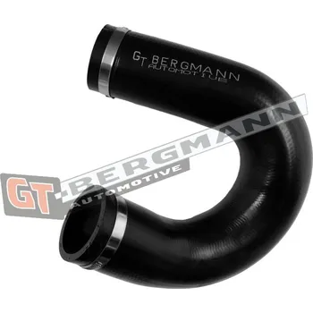 Turbodmychadlo Hadice plnícího vzduchu GT BERGMANN GT52-811