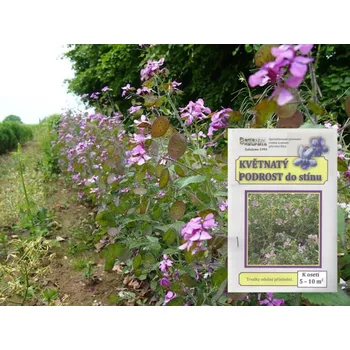 Semeno Planta Naturalis Semínková směs Květnatý podrost do stínu 10 g