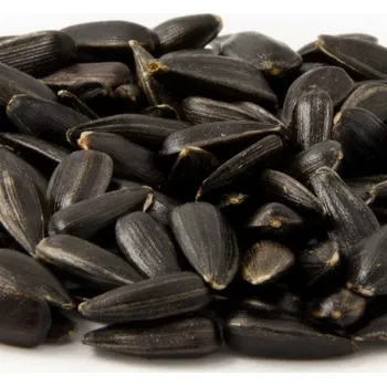 Krmivo pro ptáka Kampol Slunečnice (semínka) 20 kg