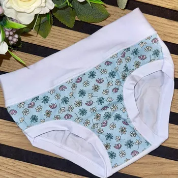 Pivo EMY - B2002 11/12 -4