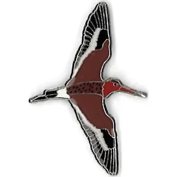 Odznáček - břehouš černoocasý