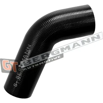 Turbodmychadlo Hadice plnícího vzduchu GT BERGMANN GT52-806