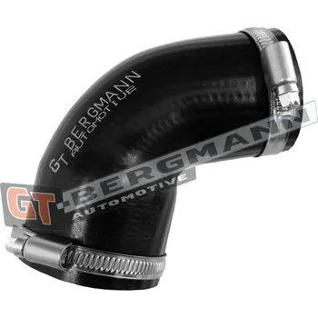 Turbodmychadlo Hadice plnícího vzduchu GT BERGMANN GT52-812