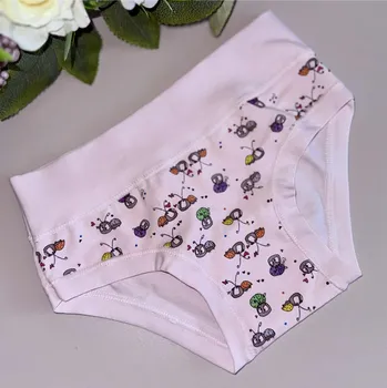 Kazeta přesmyku EMY - ORCHIDICE 11/12 -9