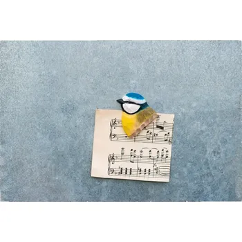 Wildlife Garden SE Magnetka ve tvaru hlavy sýkory modřinky - Wildlife Garden