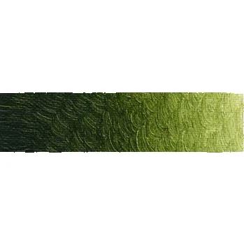 Vodová barva Akrylová barva New Masters 250ml – 706 Sap Green Extra (Akrylová barva New Masters 250ml – 706 Sap Green Extra)