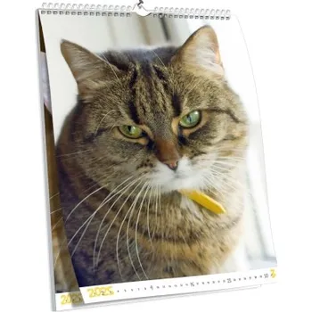Fotokalendář Nástěnný brilantní kalendář s vlastní fotografií NKN-43-A3 nástěnný foto-kalendář 2026 NKN-43-A3-BRIL Nižší cena pro více kusů!