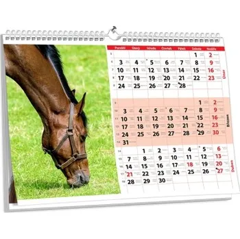 Fotokalendář Nástěnný kalendář s vlastní fotografií NKN-99-A2 nástěnný foto-kalendář 2026 NKN-99-A2 Nižší cena pro více kusů!