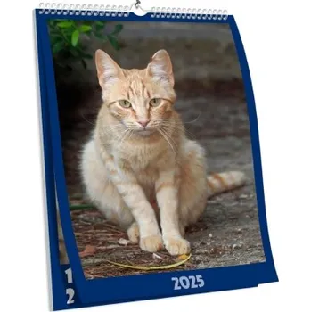 Fotokalendář Nástěnný kalendář s vlastní fotografií NKN-121-A1 nástěnný foto-kalendář 2026 NKN-121-A1 Nižší cena pro více kusů!