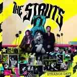 CD The Struts: Strange Days