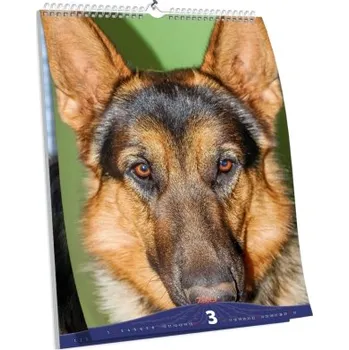 Fotokalendář Nástěnný brilantní kalendář s vlastní fotografií NKN-51-A5 nástěnný foto-kalendář 2026 NKN-51-A5-BRIL Nižší cena pro více kusů!