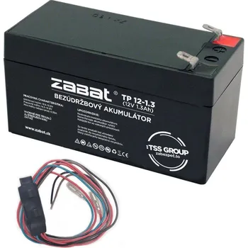 Autoalarm TSS GROUP ZDR GM50 záložní napájecí zdroj