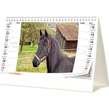 Fotokalendář Stolní brilantní fotokalendář SKN-21 stolní kalendář z vlastních fotografií 2026 SKN-21-BRIL Nižší cena pro více kusů!