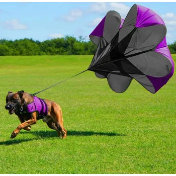 tréninková pomůcka pro psa Odporový padák Velikost: 160cm