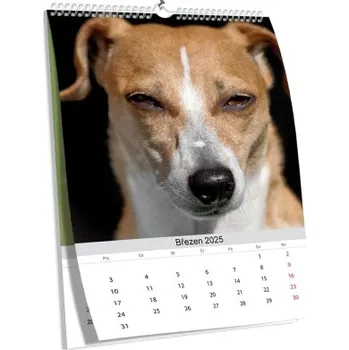 Fotokalendář Velký nástěnný kalendář s vlastní fotografií NKN-61-A1 nástěnný foto-kalendář 2026 NKN-61-A1 Nižší cena pro více kusů!