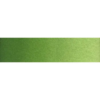 Vodová barva Akvarelová barva Old Holland 6ml – 050 Chromium Oxide Green (Akvarelová barva Old Holland 6ml – 050 Chromium Oxide Green)