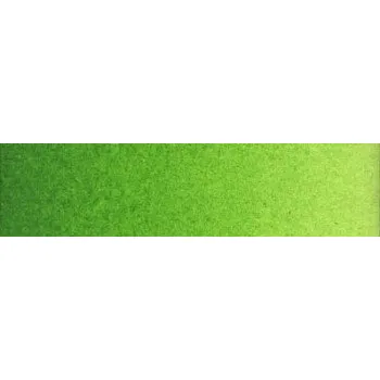 Olejová barva Akvarelová barva Old Holland 6ml – 289 Permanent Green (Akvarelová barva Old Holland 6ml – 289 Permanent Green)