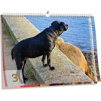 Fotokalendář Nástěnný kalendář s vlastní fotografií NKN-76-A2 nástěnný foto-kalendář 2026 NKN-76-A2 Nižší cena pro více kusů!