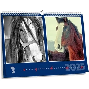 Fotokalendář Nástěnný brilantní kalendář s vlastní fotografií NKN-19-A5 nástěnný foto-kalendář 2026 NKN-19-A5-BRIL Nižší cena pro více kusů!