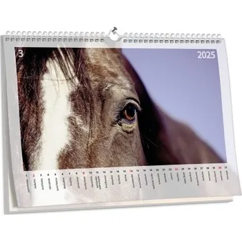 Fotokalendář Nástěnný kalendář s vlastní fotografií NKN-87-A3 nástěnný foto-kalendář 2026 NKN-87-A3 Nižší cena pro více kusů!
