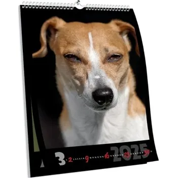 Fotokalendář Nástěnný kalendář s vlastní fotografií NKN-112-A2 nástěnný foto-kalendář 2026 NKN-112-A2 Nižší cena pro více kusů!