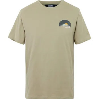 Pánské tričko Pánské tričko Regatta Cline IX Velikost: M / Barva: béžová/bílá