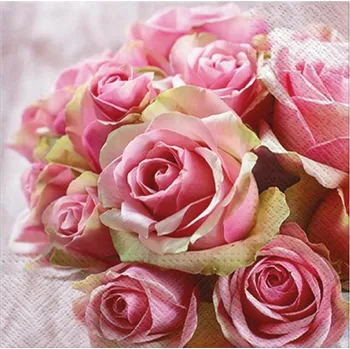 Papírový ubrousek MFP ubrousek P 33x33 celorok TL329000 2011163