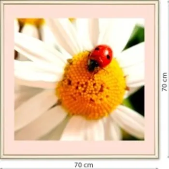 Rám na obraz Fotoobraz v hliníkovém rámu s paspartou 70x70 cm FOPKA-70x70 Nižší cena pro více kusů!