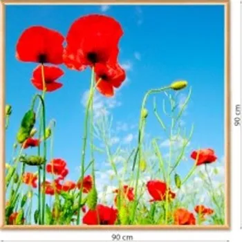 Rám na obraz Fotoobraz v luxusním rámu 90x90 cm FODRLX-90x90 Nižší cena pro více kusů!