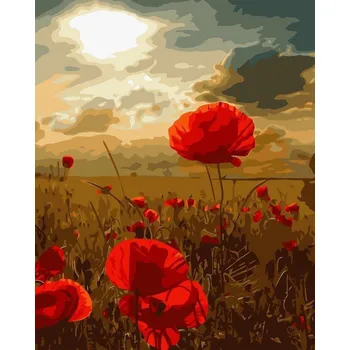 Obraz Obraz k vymalování podle čísel Artnapi Vlčí máky 40x50 cm