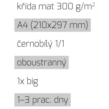 Tiskopis Leták 1xbig A4 1/1 křída mat 300 g/m2 LT-A4-1/1-300-K-1xBig Nižší cena pro více kusů!