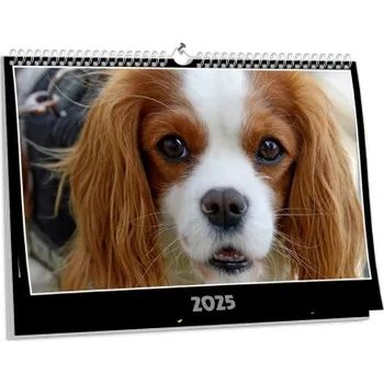 Fotokalendář Velký nástěnný kalendář s vlastní fotografií NKN-32-A1 nástěnný foto-kalendář 2026 NKN-32-A1 Nižší cena pro více kusů!