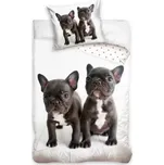 Dětské povlečení bavlna fototisk Buldoček a Buldoček 140x200, 70x90 cm 170130235